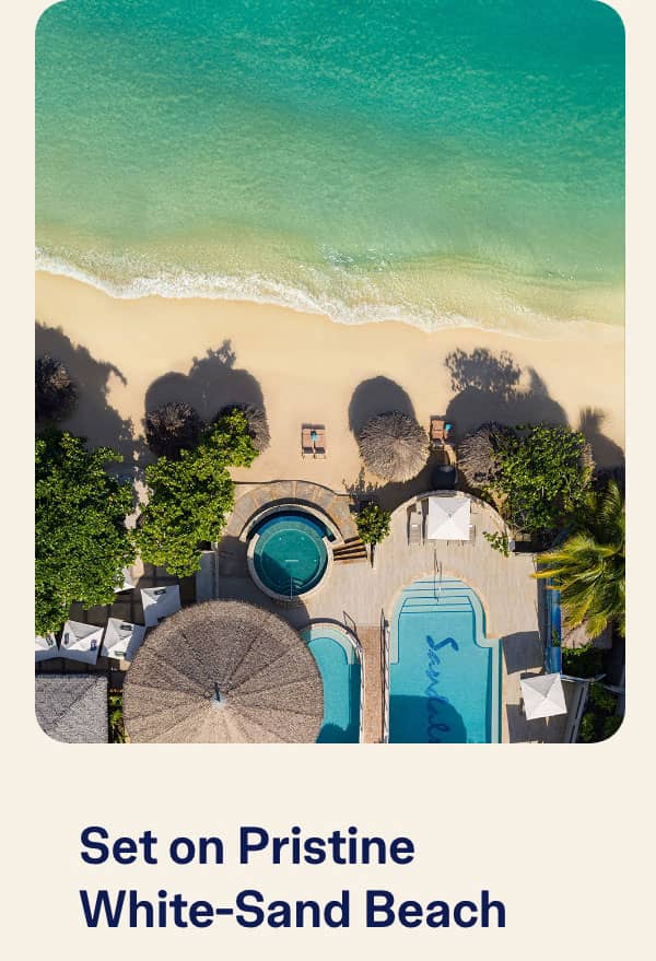 Island Vibes