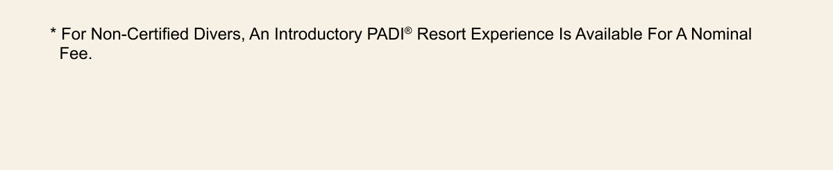 SNG-Focus-Resort-January-2025_Consumer_16.gif