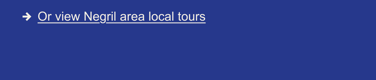 Local Tours