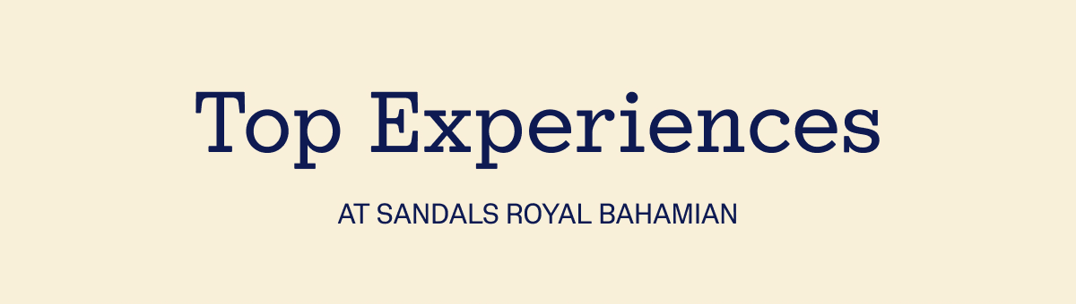 Top Experiences