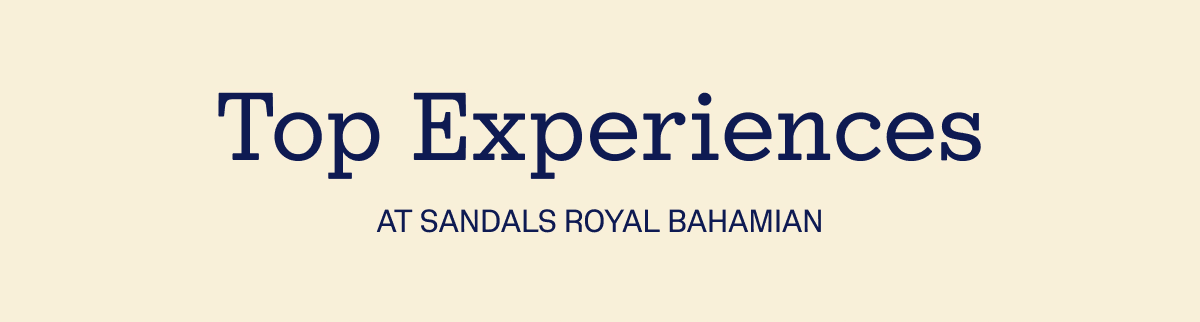 Top Experiences