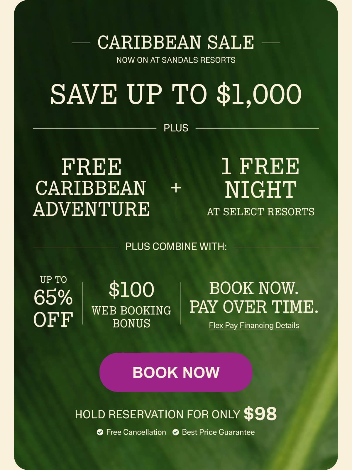 Book Now
