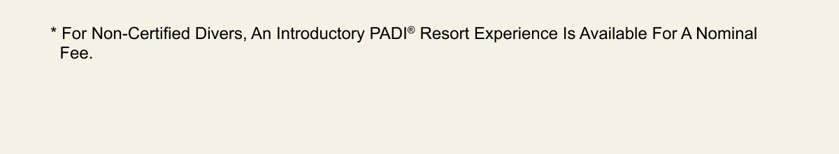 SRC-Focus-Resort-January-2025_Consumer_17.gif