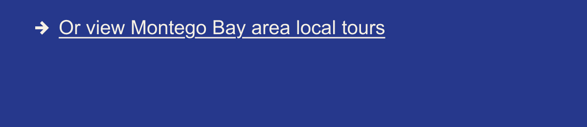 Local Tours
