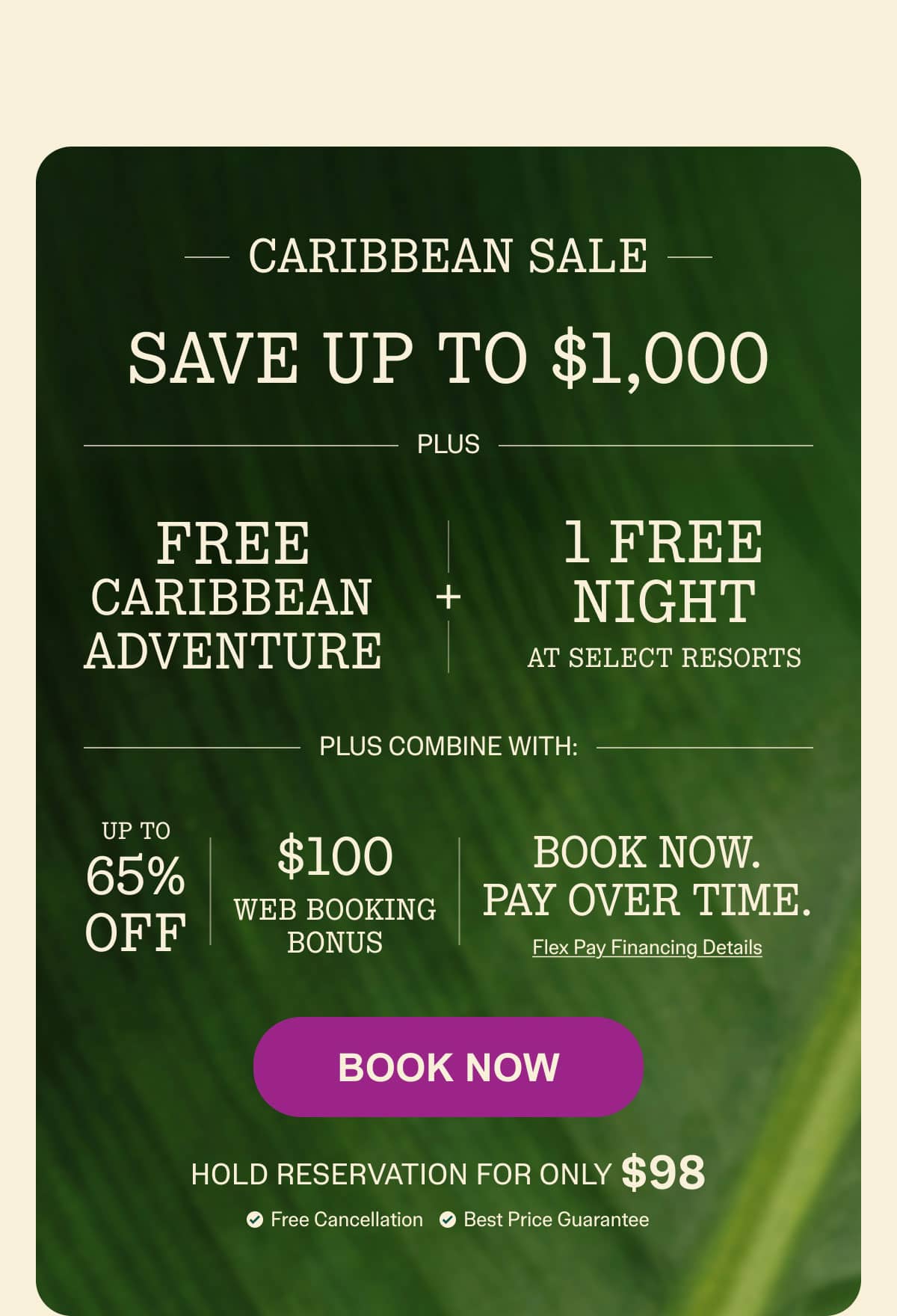 Book Now