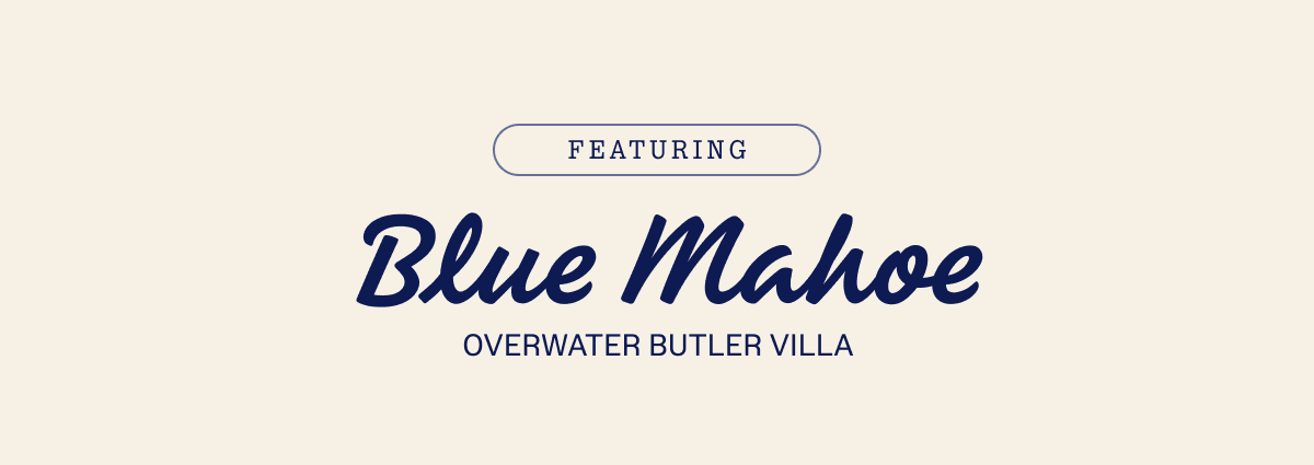 Blue Mahoe