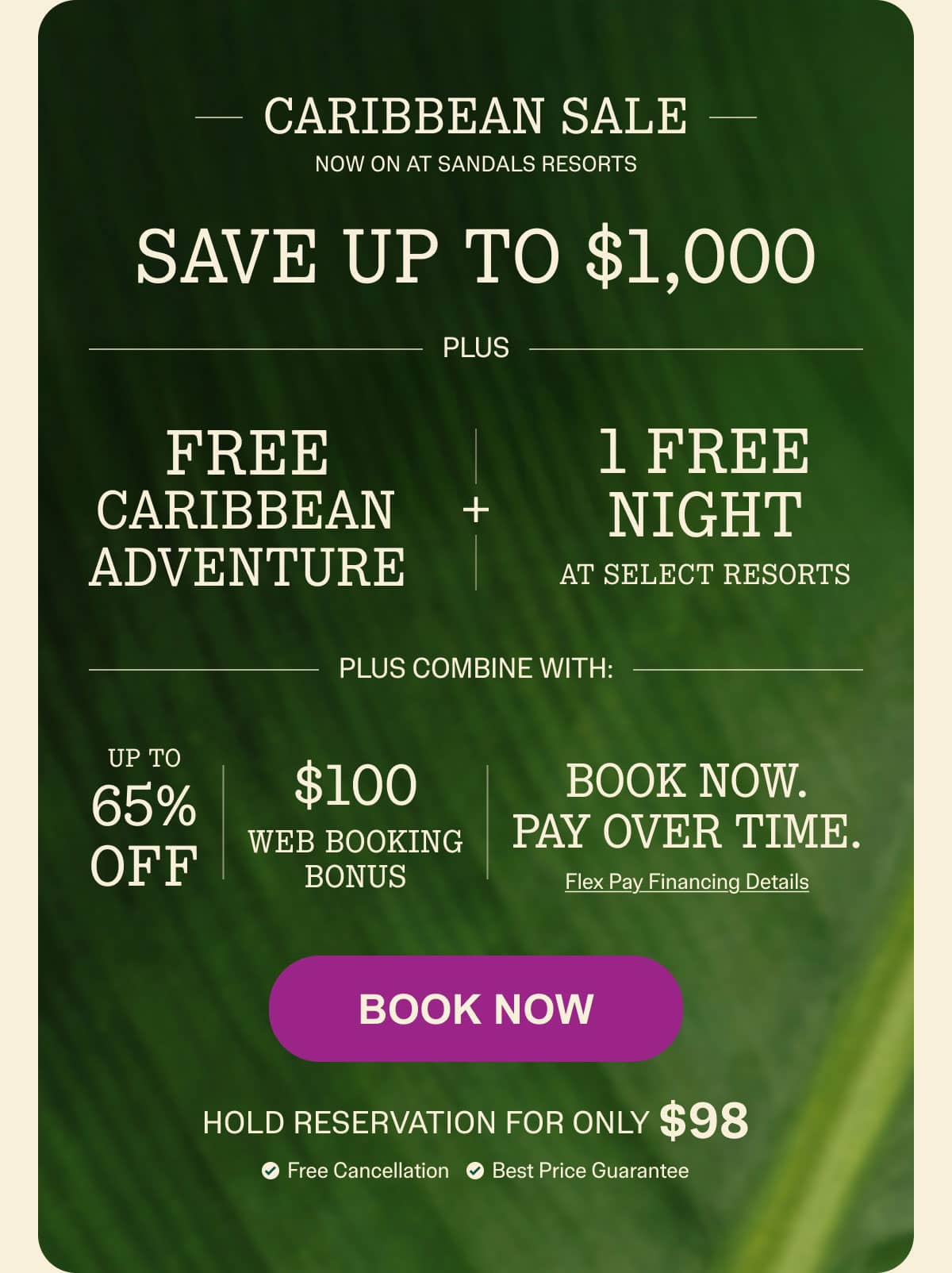 Book Now