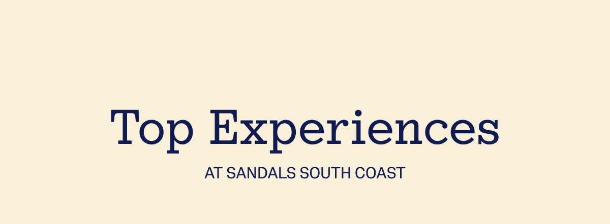 Top Experiences