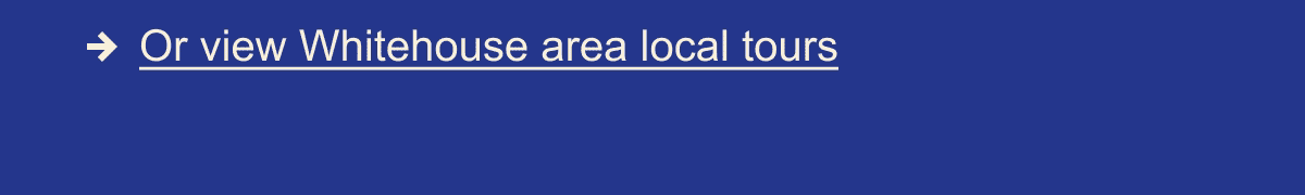 Local Tours