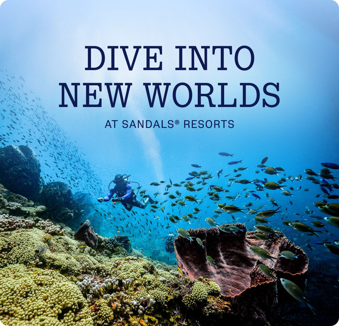 Dive Into New Worlds
