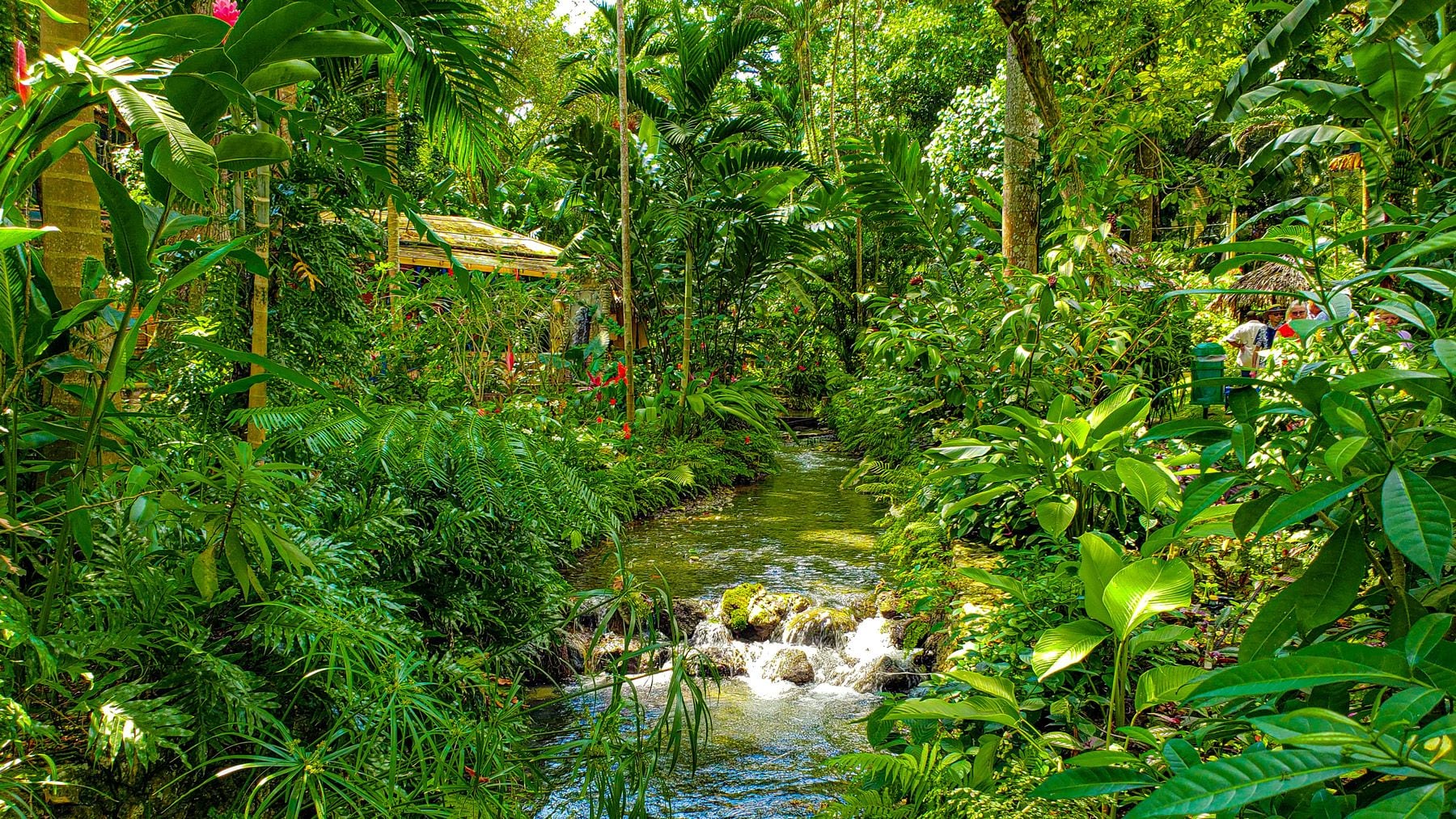 10-Konoko-Falls-Ocho-Rios-Jamiaca