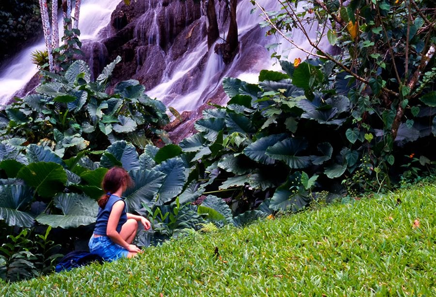 Scatter-Falls---10