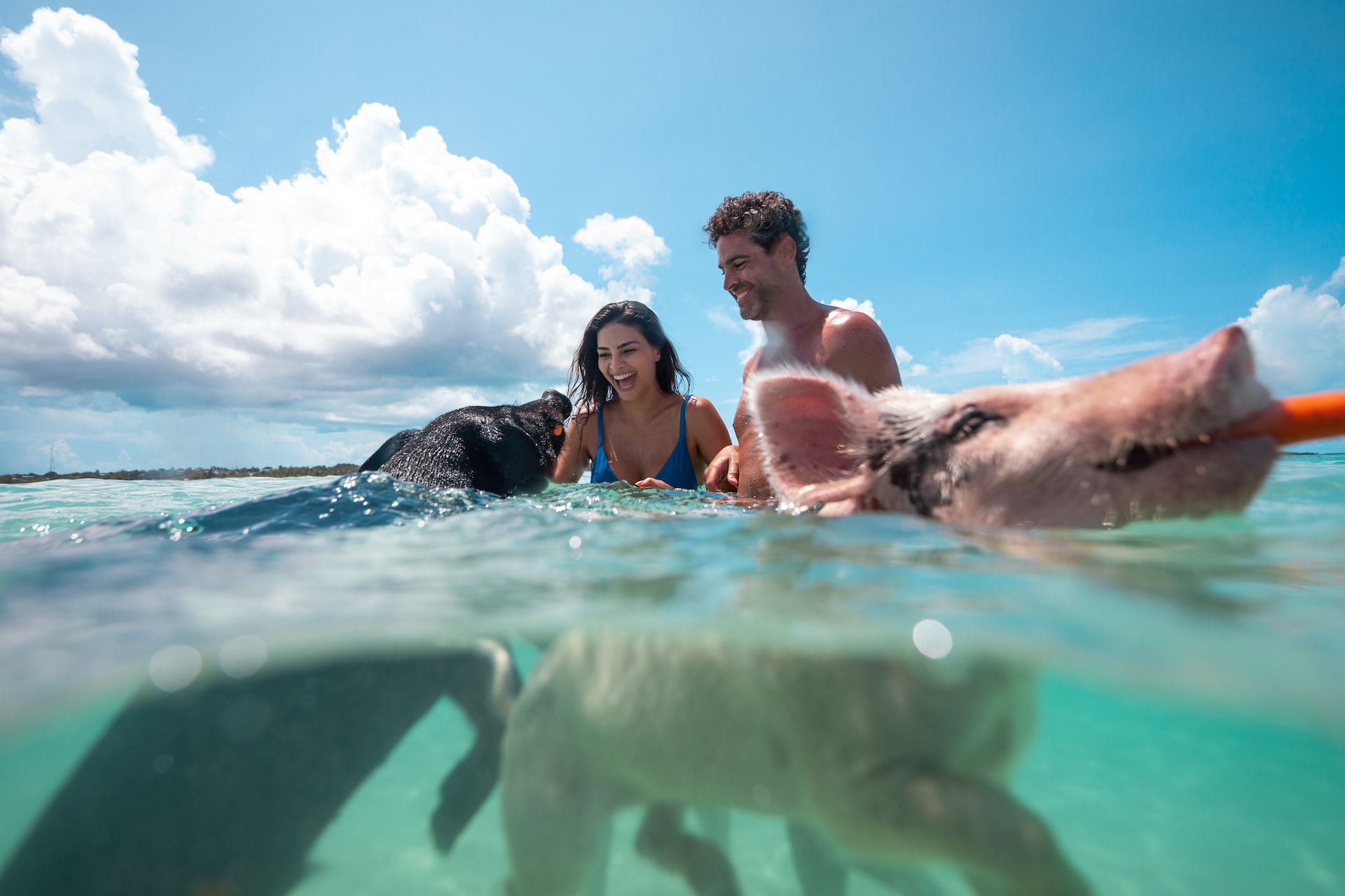20 Amazing Things The Bahamas Is Known For