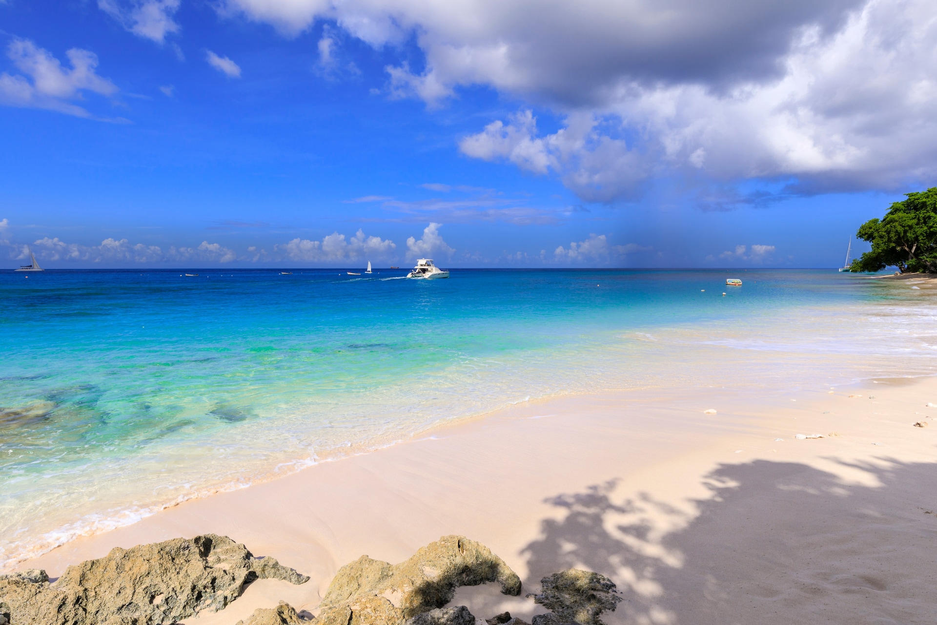 shutterstock_1719927490--1-