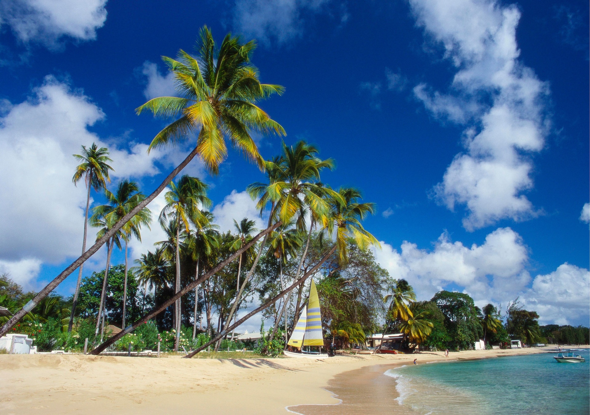 shutterstock_2428772647--1-