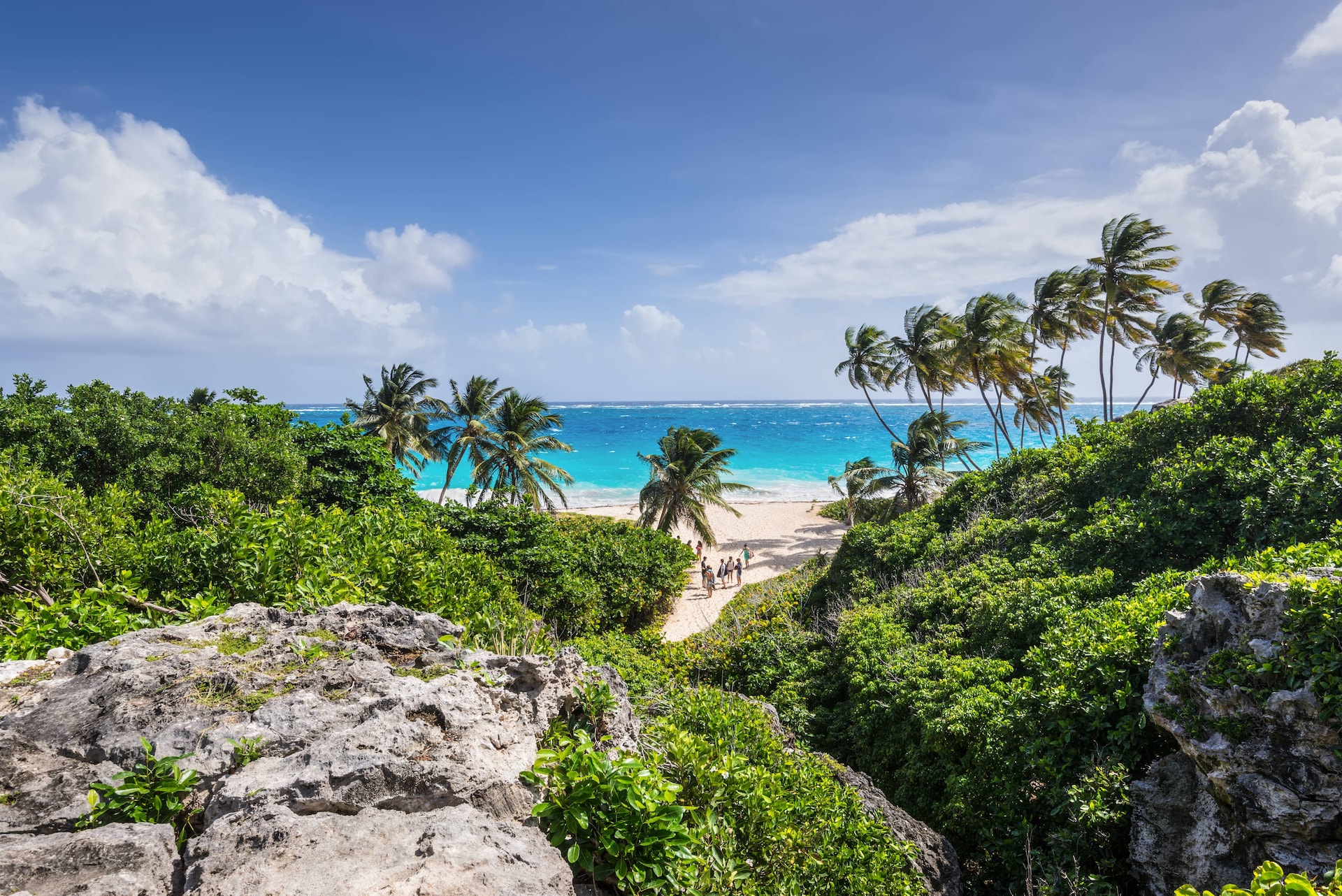 shutterstock_548434627-1