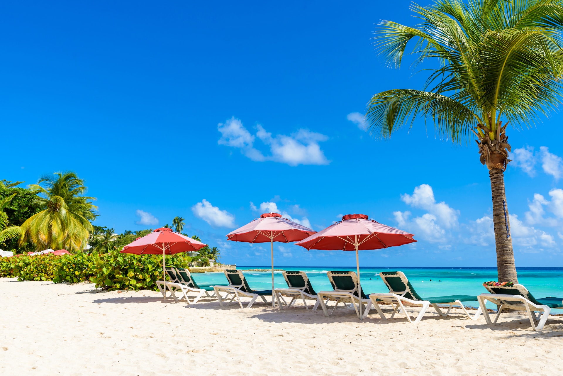 shutterstock_1036958305
