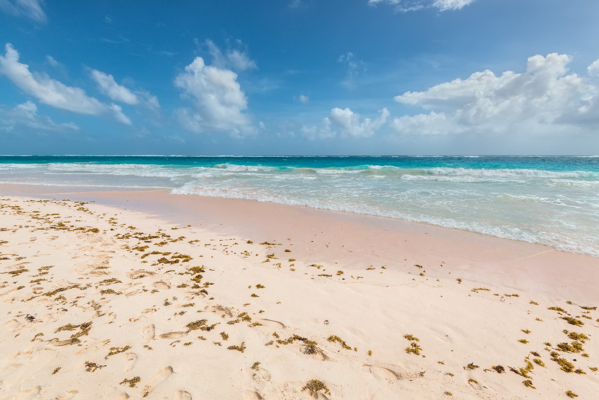 shutterstock_1200182752-1