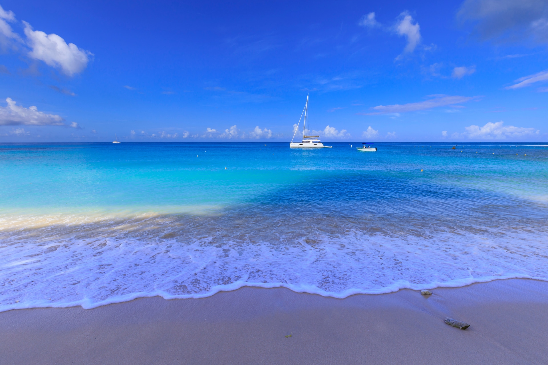 shutterstock_1727166460--1-