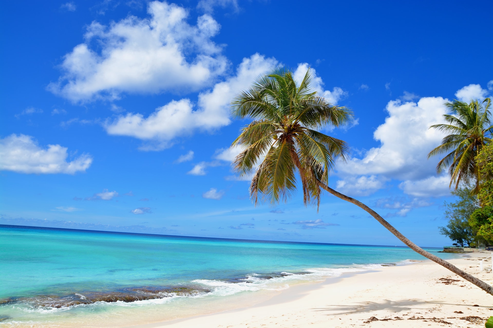 shutterstock_227161819