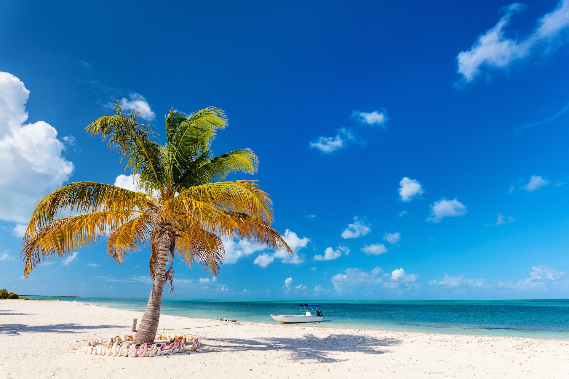 shutterstock_1084718498--1-