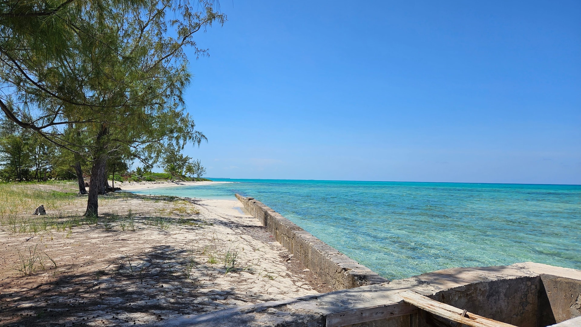 shutterstock_2392661931--1--1