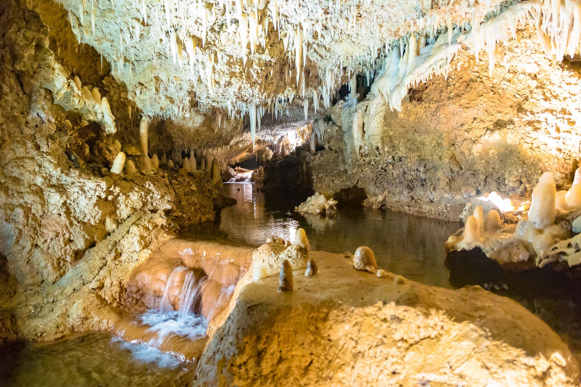 Harrison's Cave barbados water filled cave
