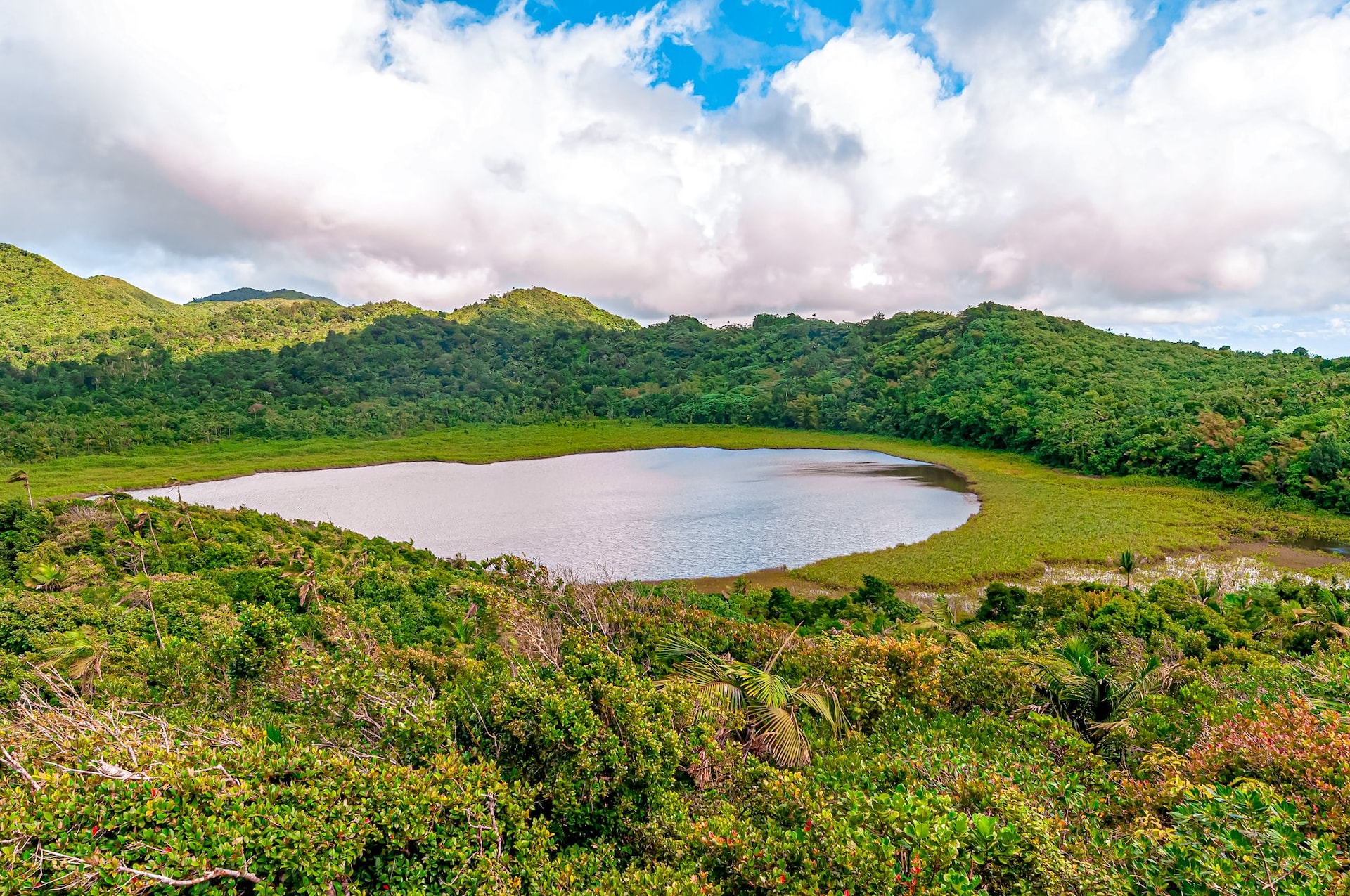 Grand Etang National Park Grenada Volcano Crater Lake