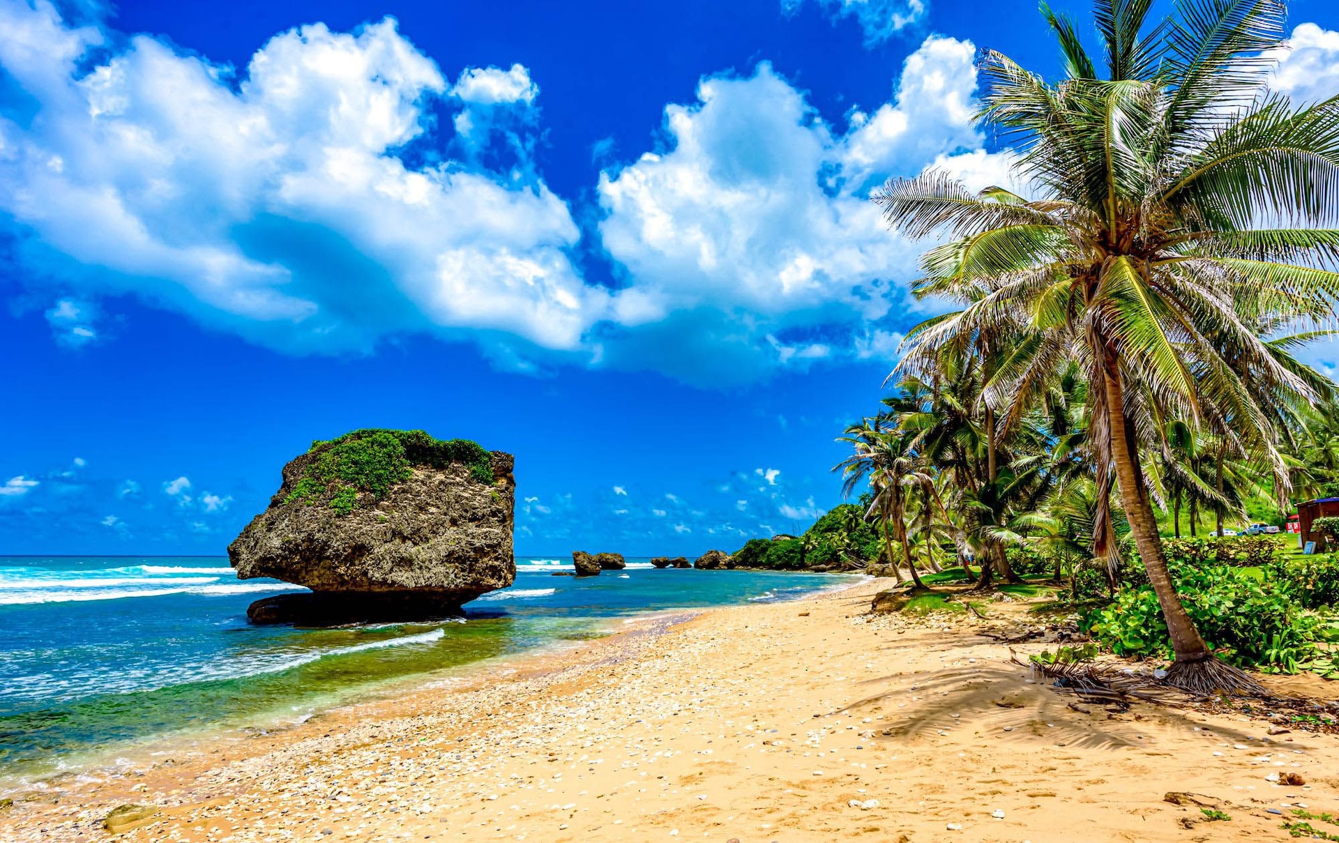 Barbados Bathsheba Beach