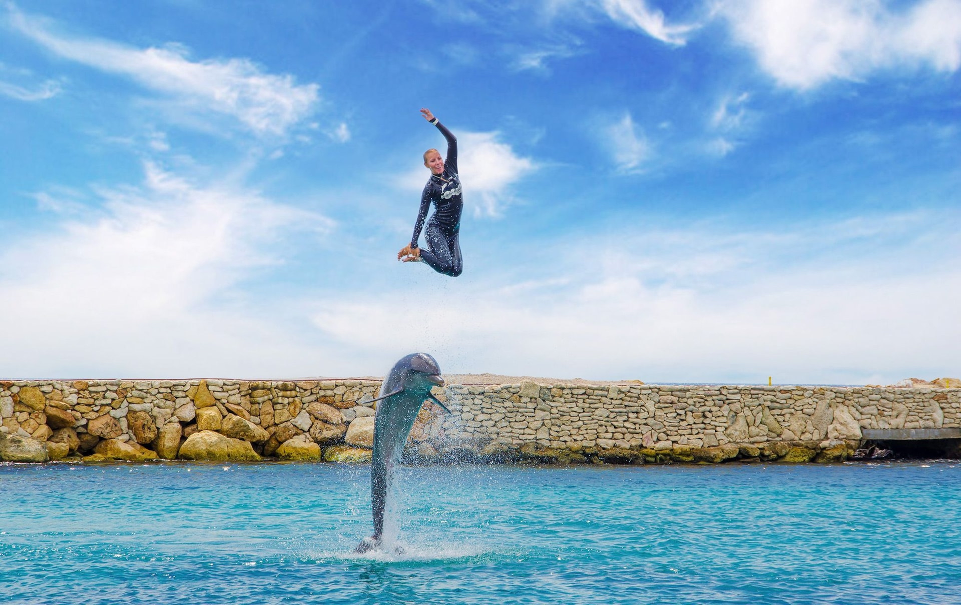 Dolphin-Academy