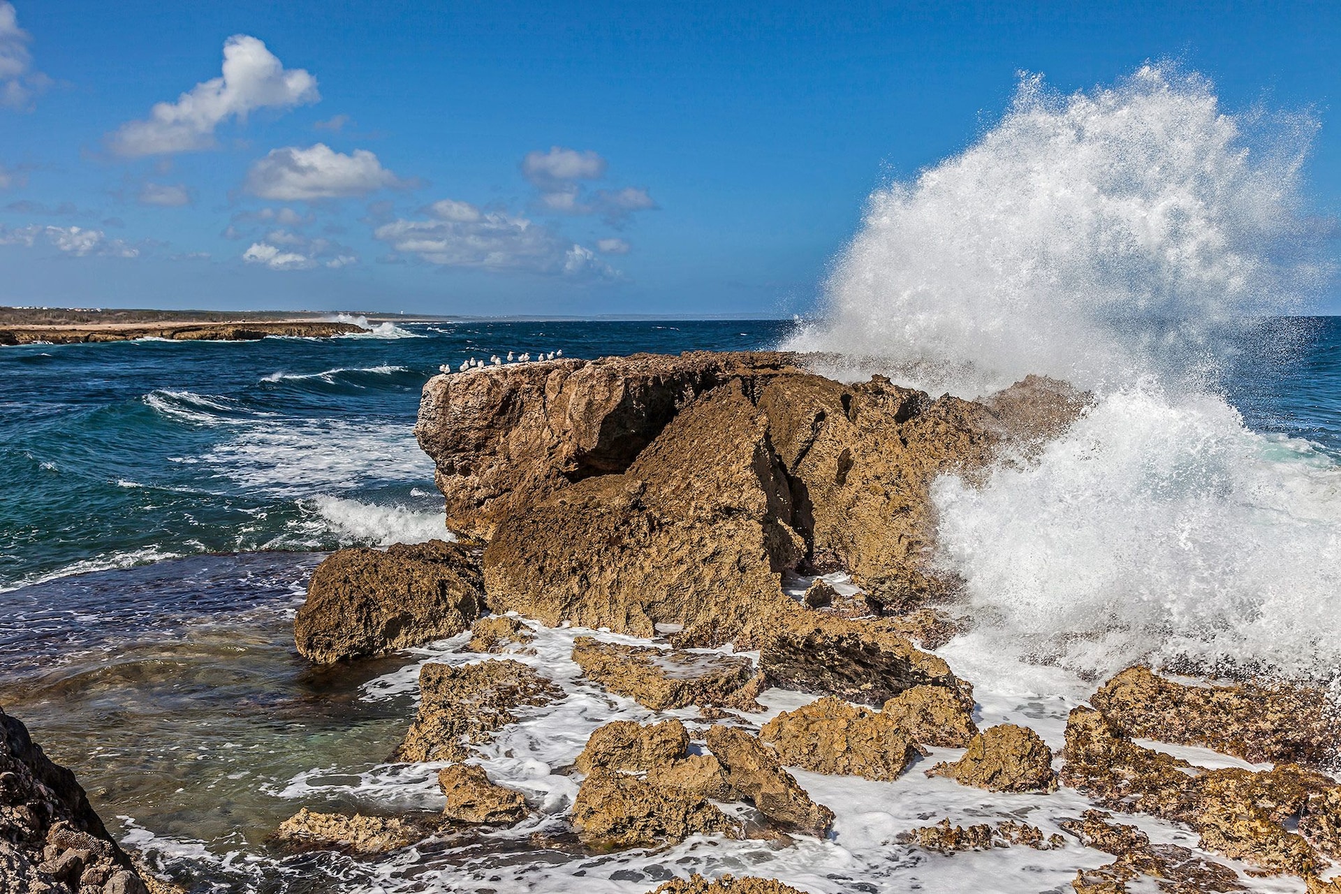 Revealed: The 23 Best Beaches In Curaçao To Explore