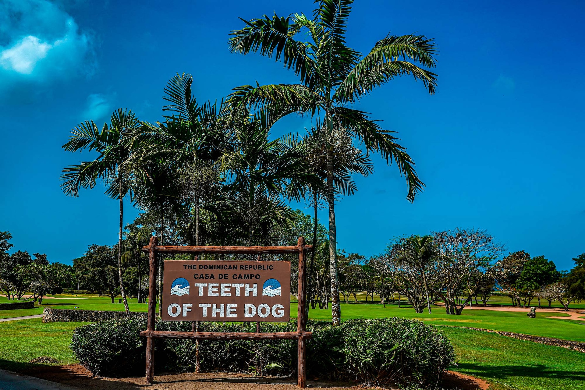 Teeth Dog Dominican Republic Golf Course