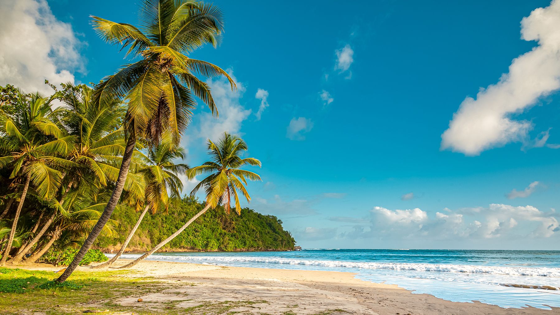 La Sagesse Beach Grenada