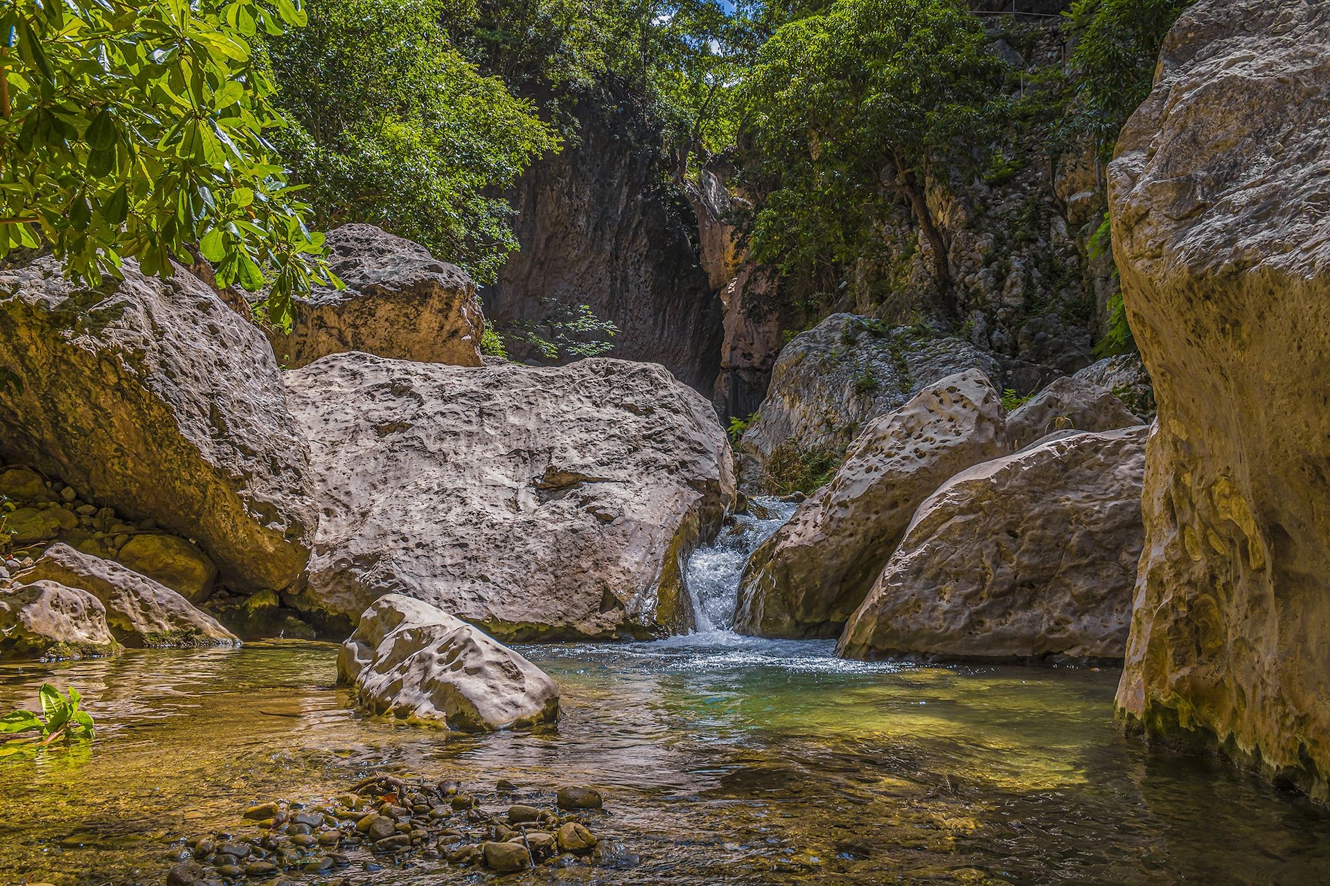 Cane River Falls Jamaica