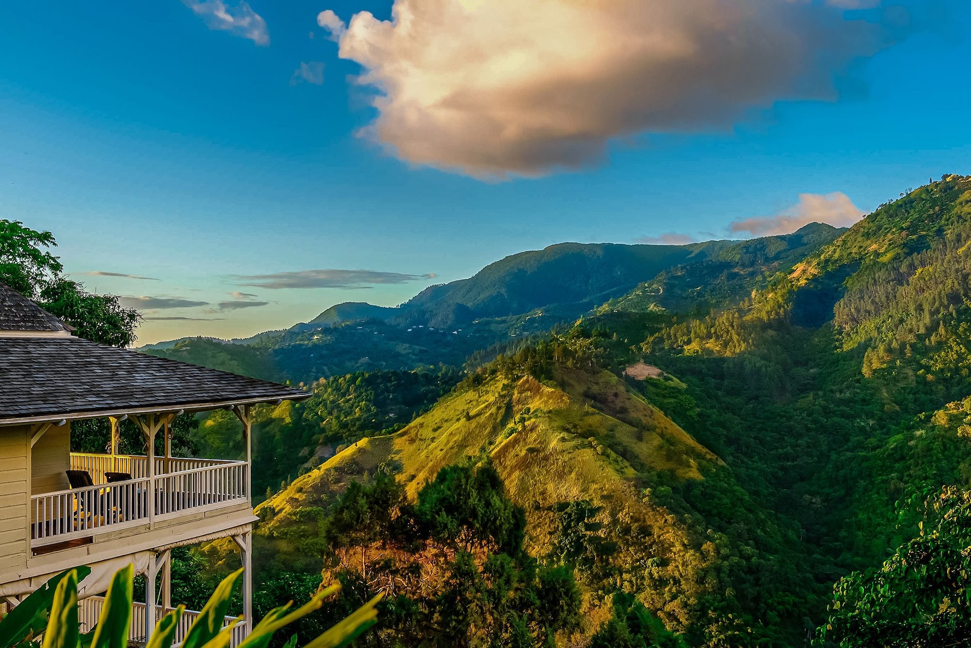 Strawberry Hill Jamaica