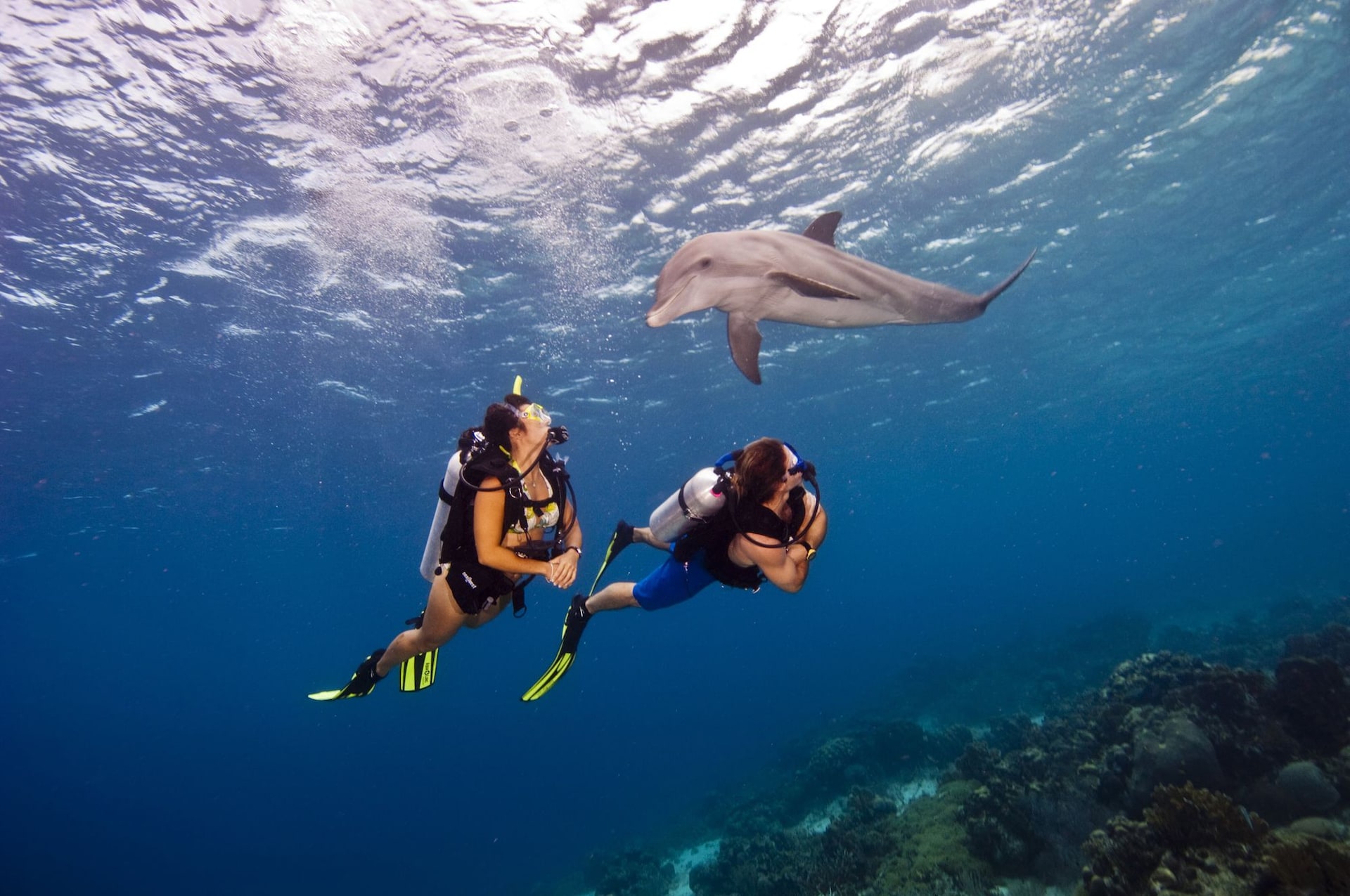 curacao-scuba-diving-sandals-1