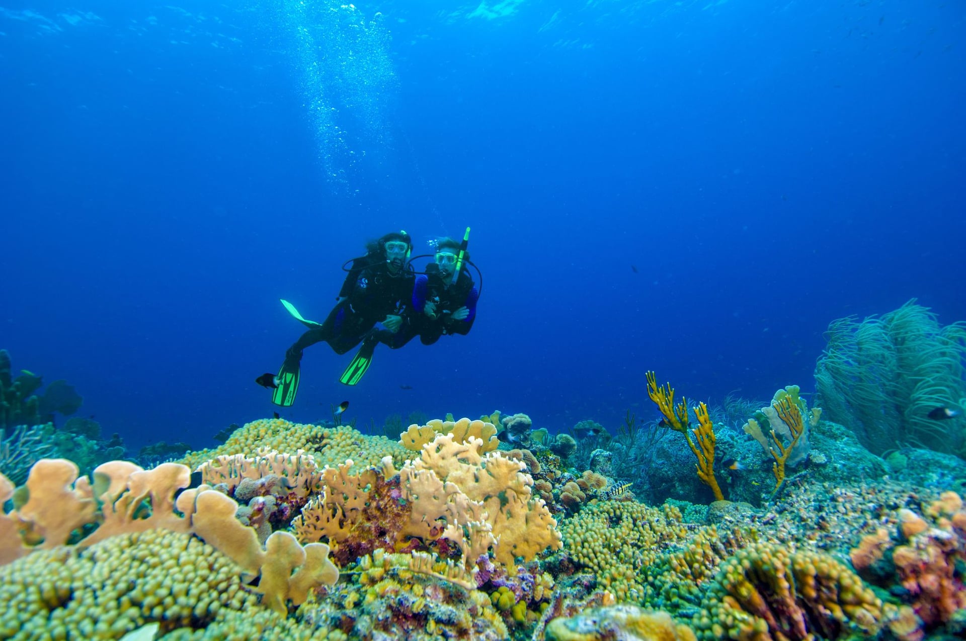 sandals-curacao-scuba-2--1--1