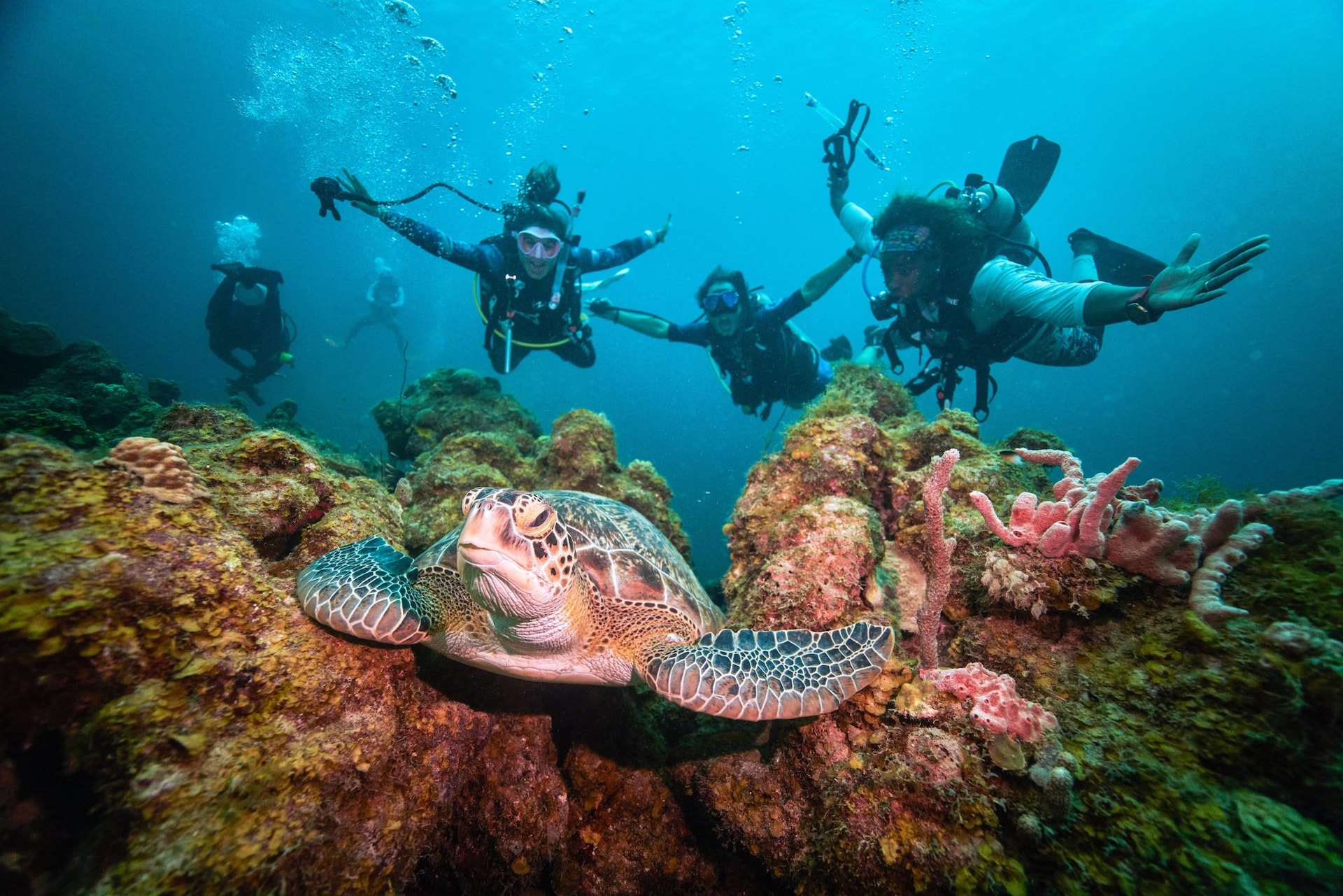 sandals-curacao-scuba-4-4