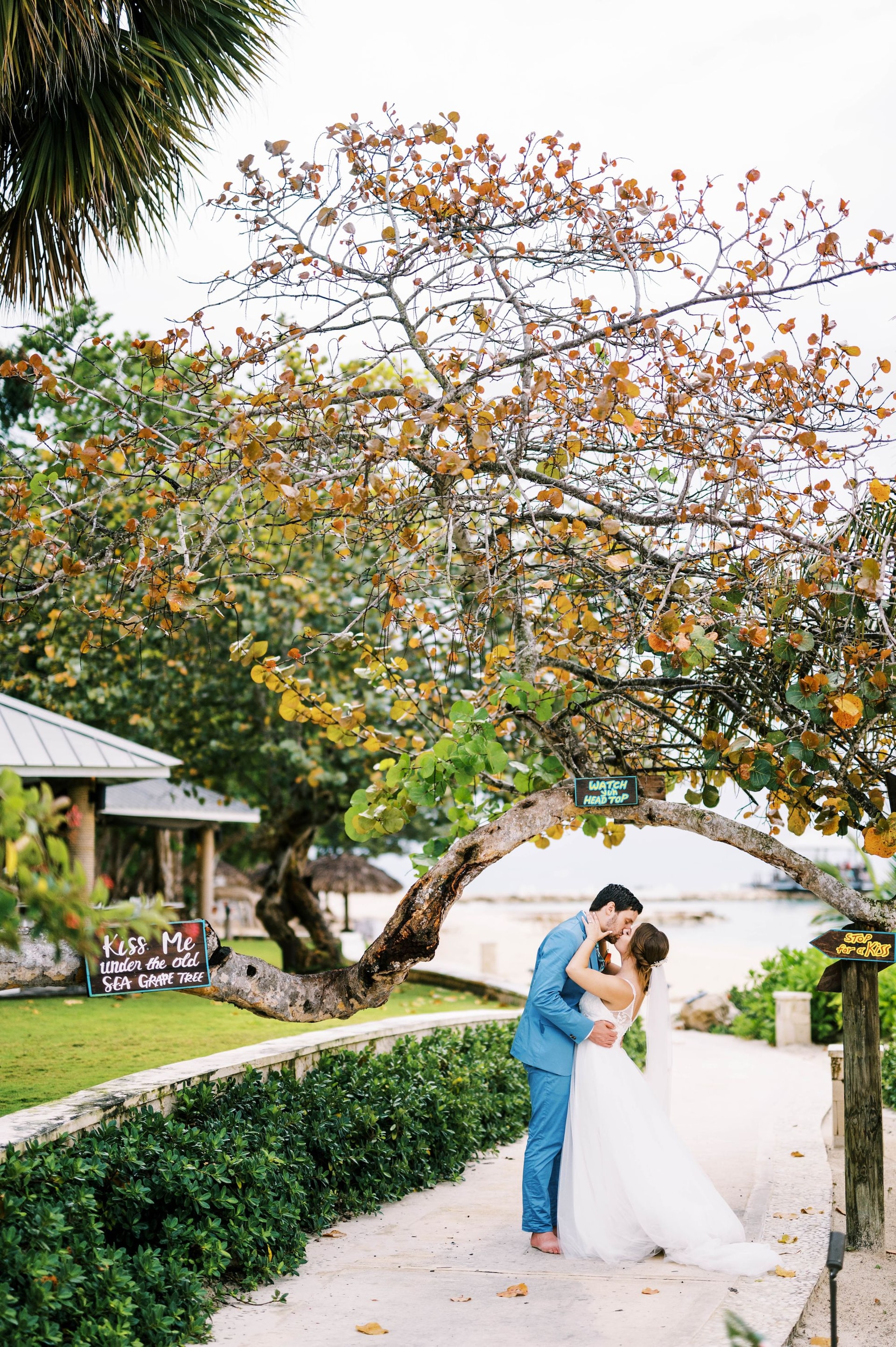 The New Storybook Destination Wedding:
Tropical, Beautiful, and Unimaginably Affordable