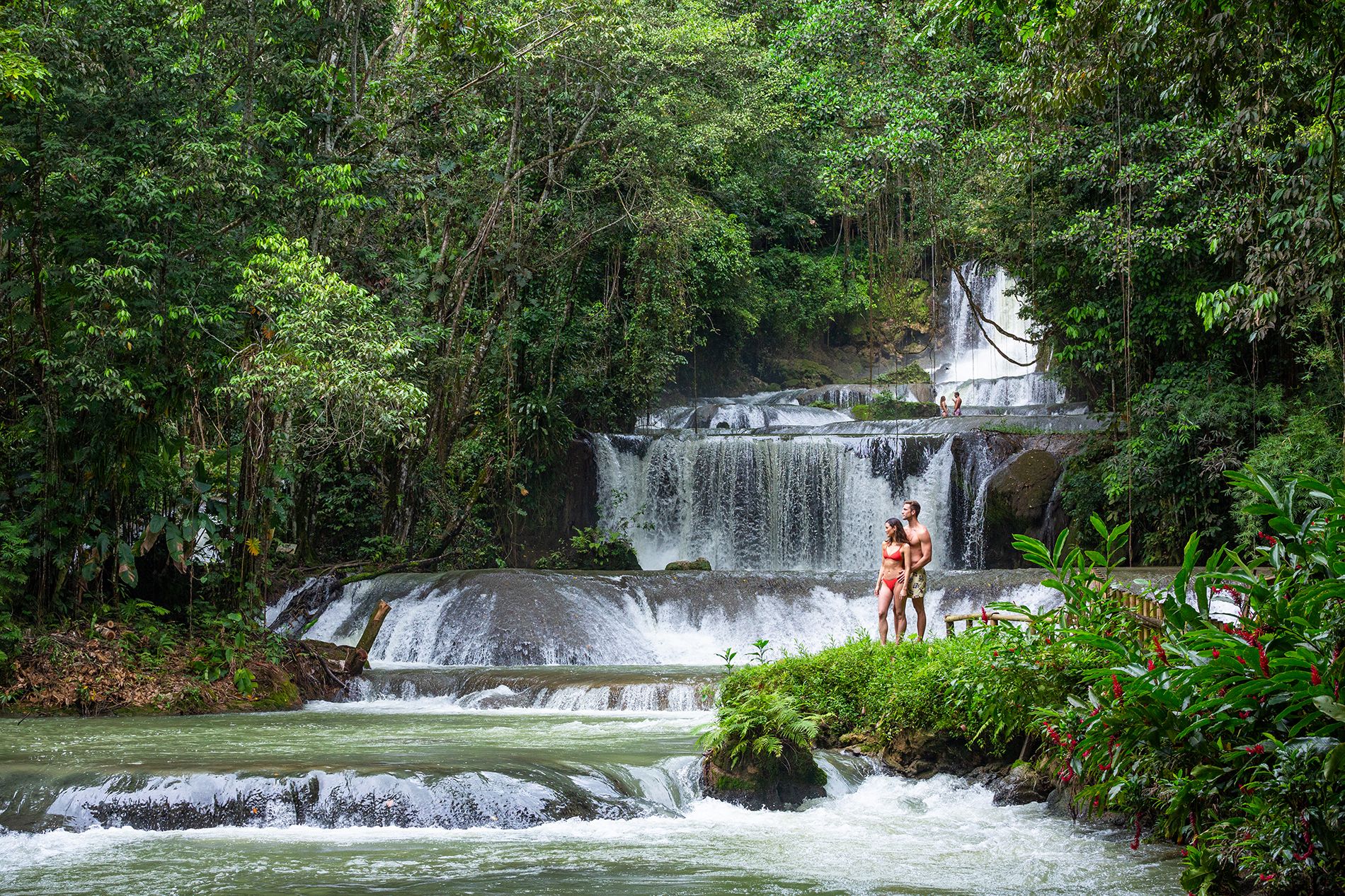 SWH_YS_Falls_Jamaica_Waterfall_Lush_Gardens_Oasis_Caribbean