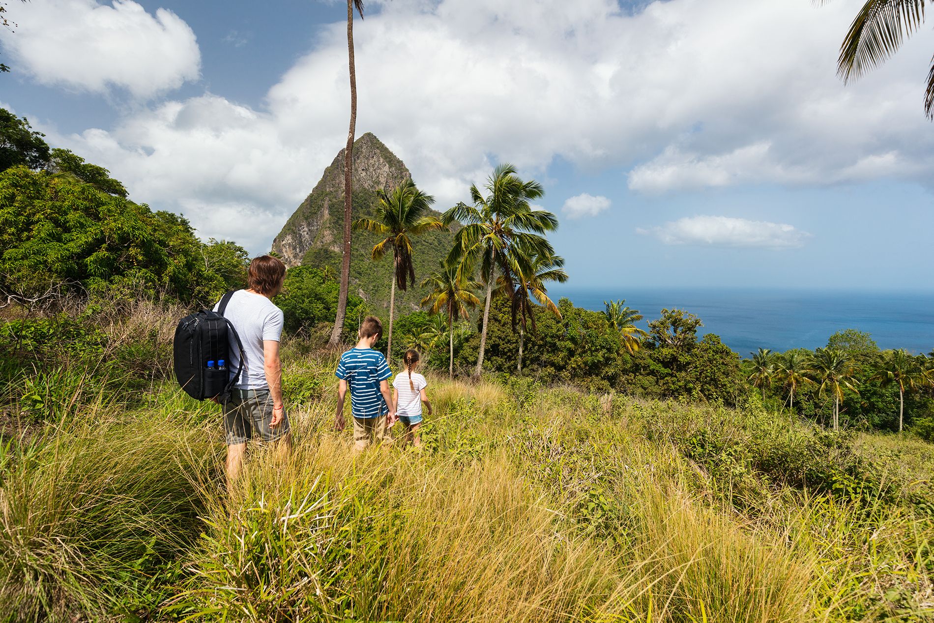 19-Things-St.-Lucia--rainforest-hikes--BlueOrange-Studio