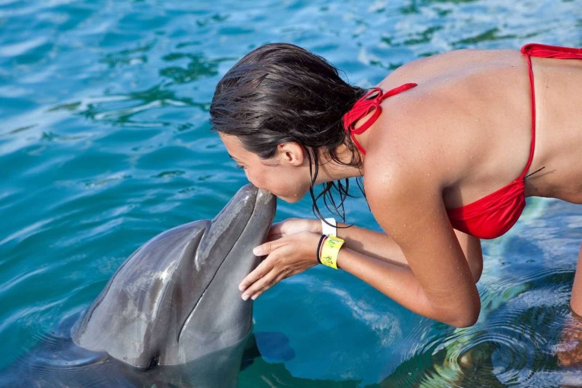 sandals-bahamas-nassau-blue-lagoon-dolphin-island-routes