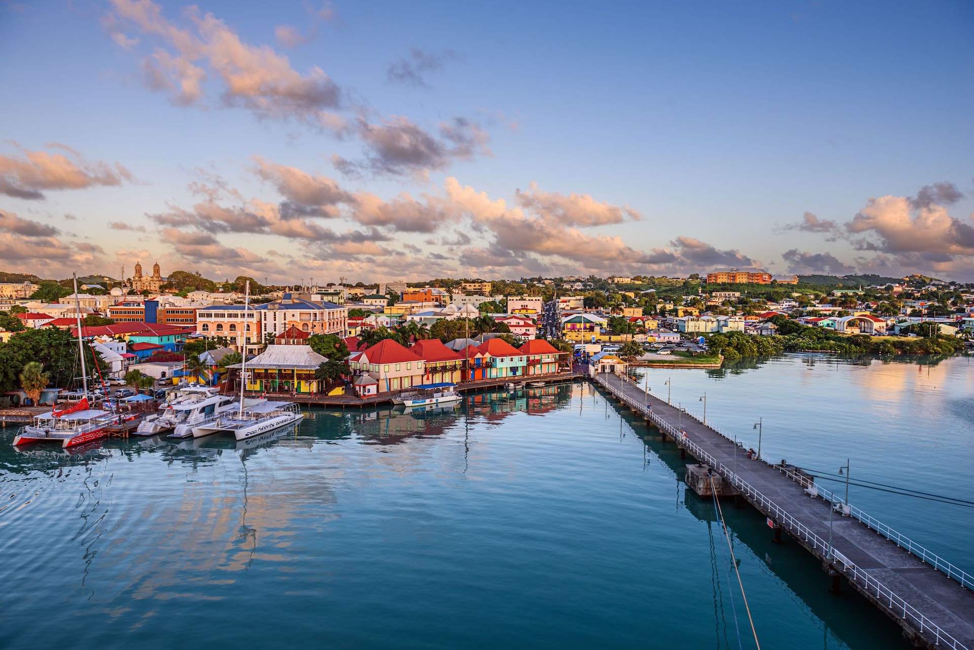 shutterstock_2323040123--1-