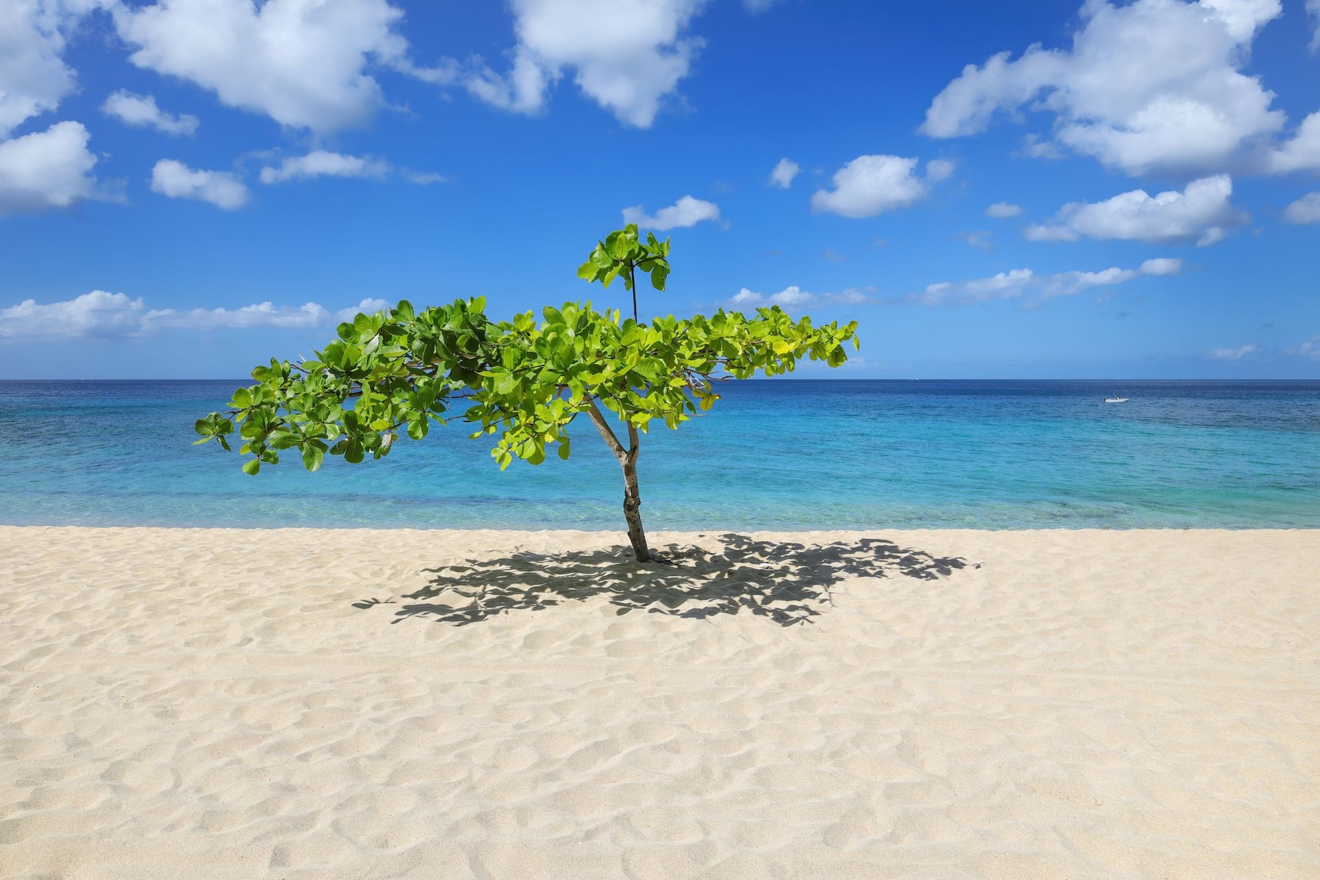 Magazine Beach Grenada