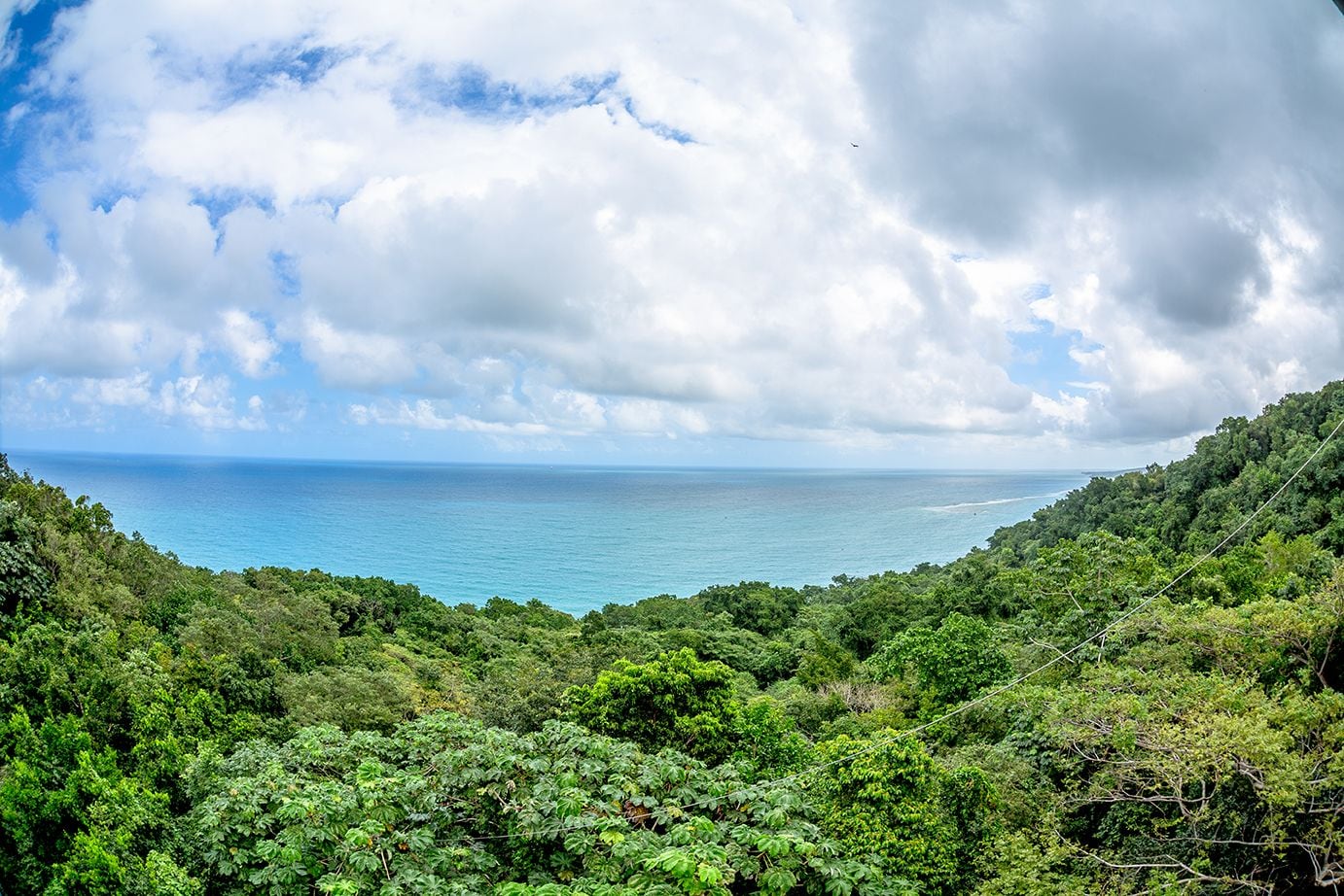 Your Guide to Mystic Mountain Jamaica: Where Rainforest Meets Adventure