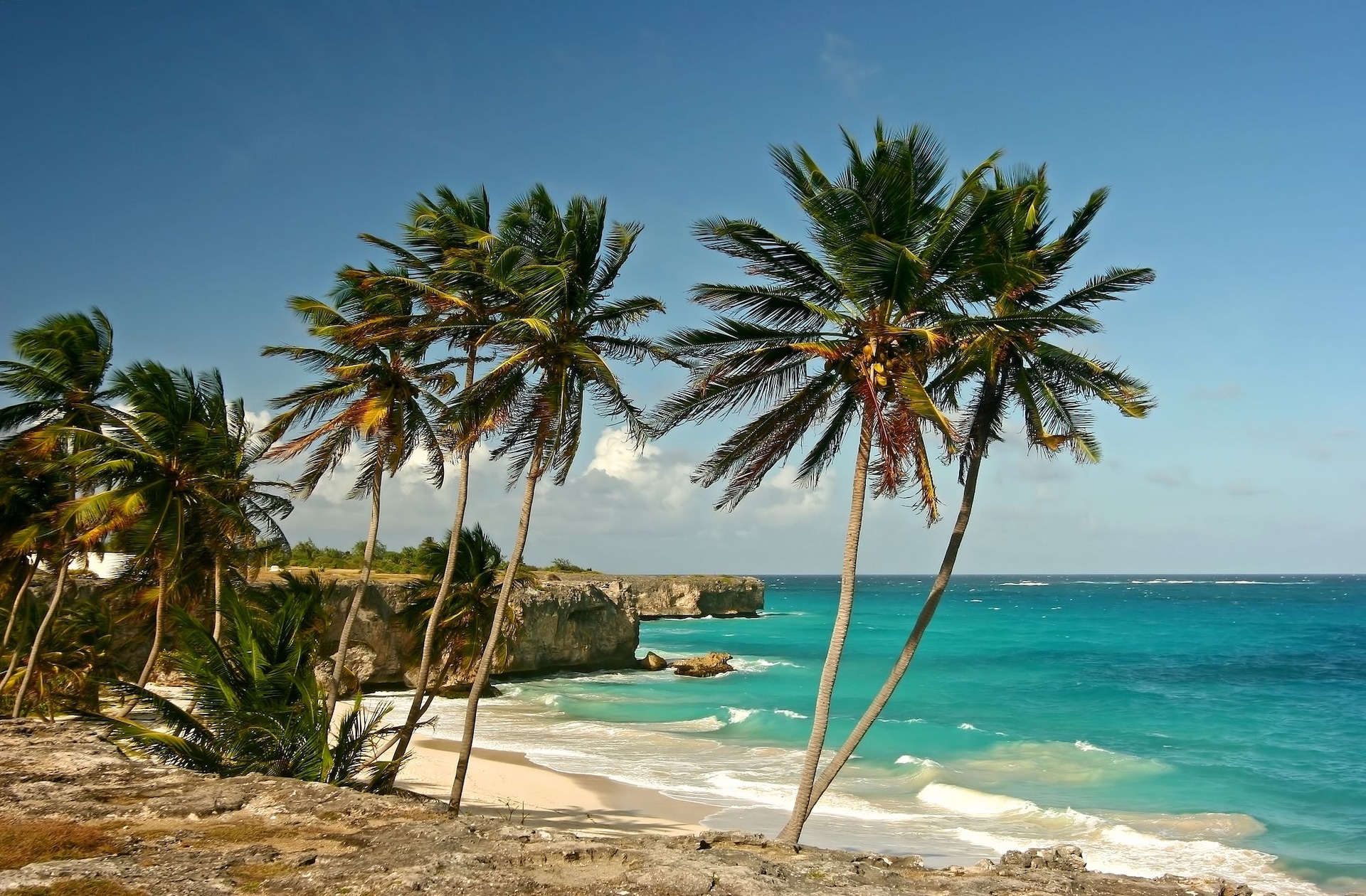 Bottom Bay Barbados beach