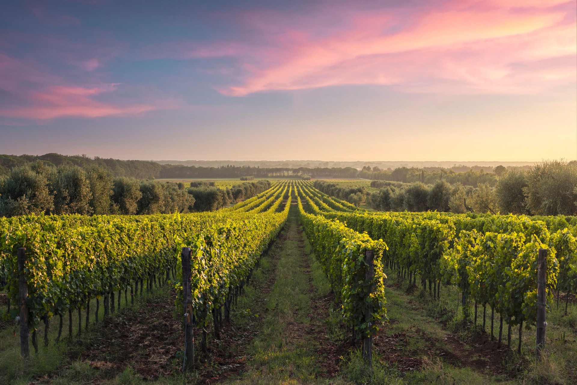 Tuscan-Italy travel