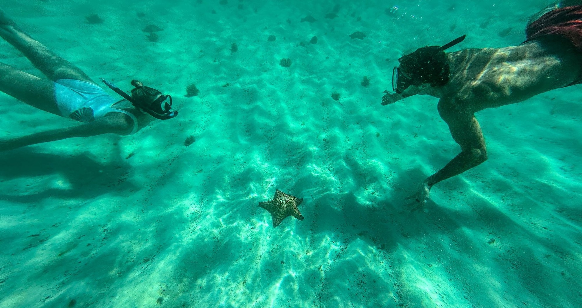 Want The Best Snorkeling Vacation In Jamaica? Here’s Where To Start!