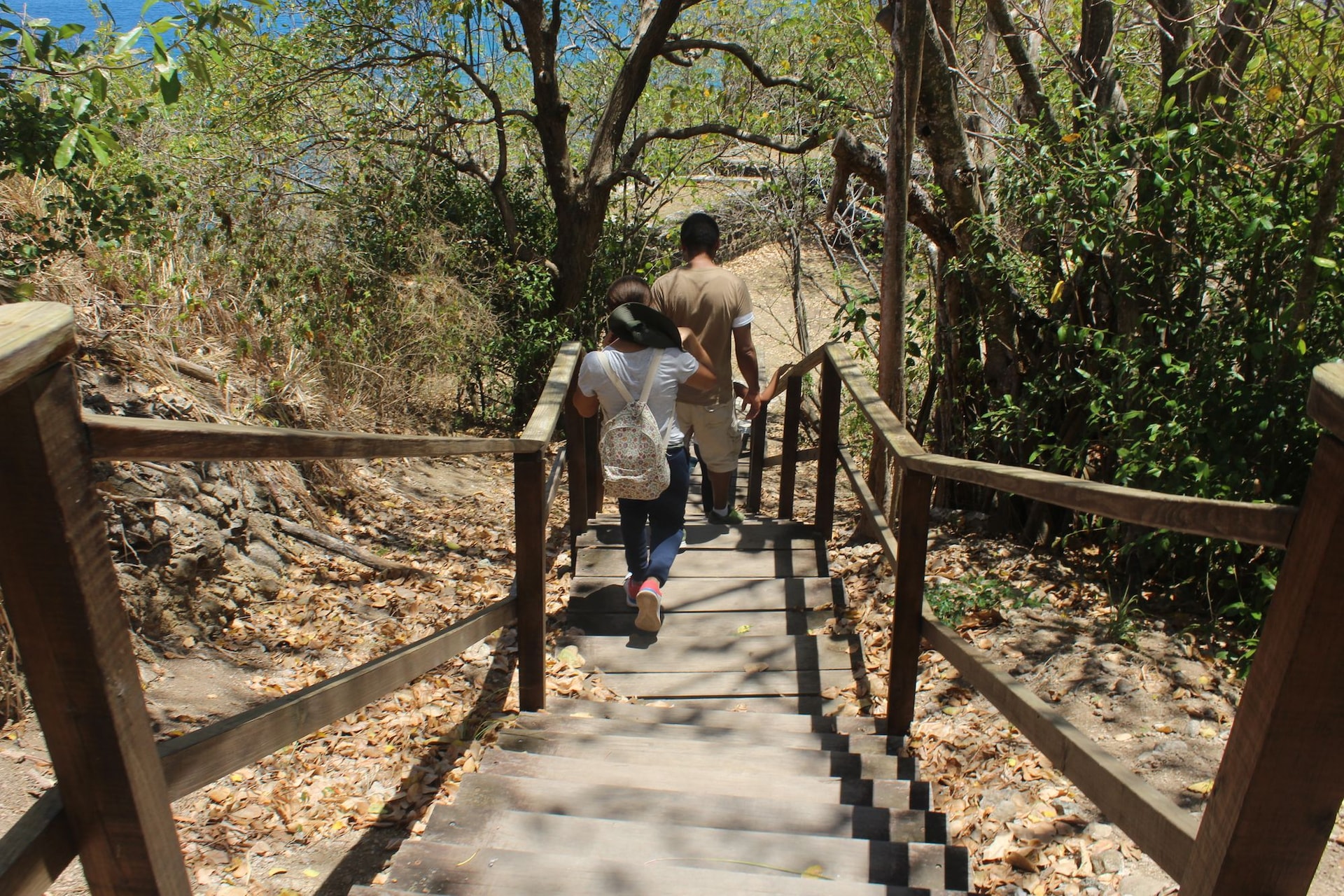 pigeon-island-hike