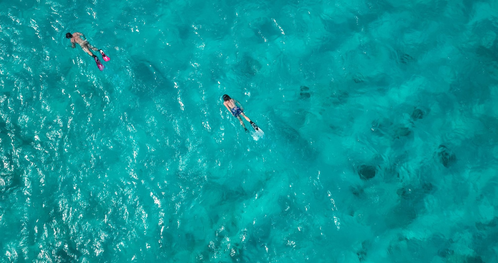 Web-Version-SCR-Lifestyle-Birds-eye